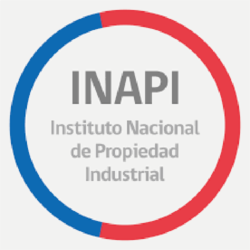 15 Logo Inapi