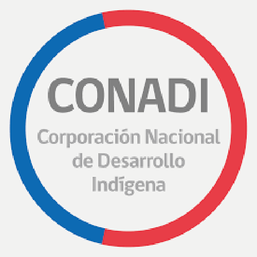 17 Logo Conadi